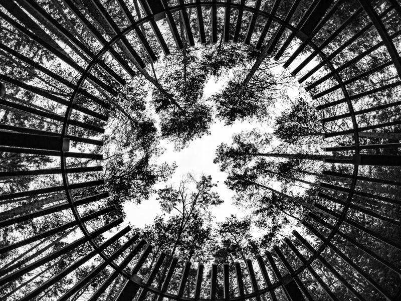 Посмотрите наверхphoto preview