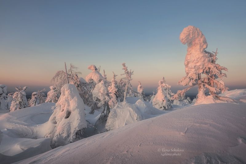 помяненный камень, колчимский камень, зимний пейзаж, закат, северный урал, вечер Морозный вечер на Помяненном камнеphoto preview