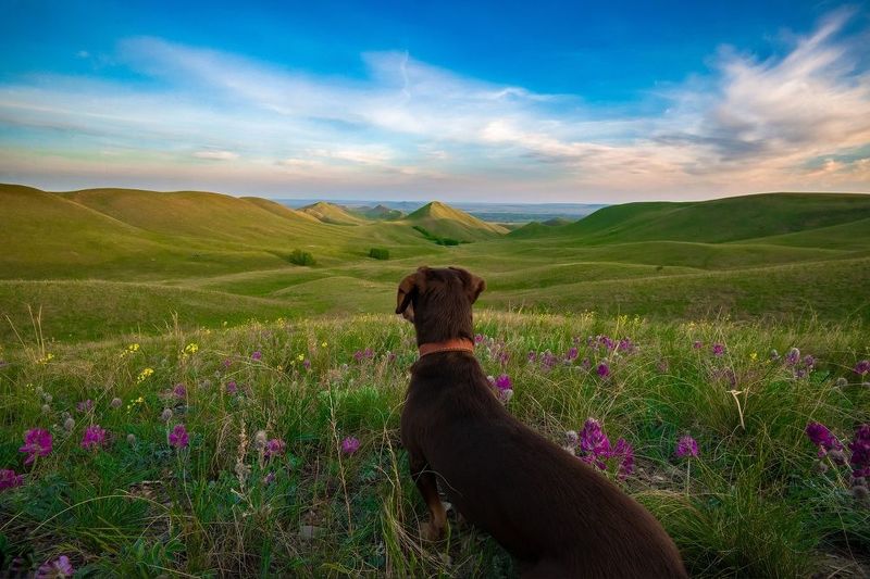Долгие горы Гармонияphoto preview