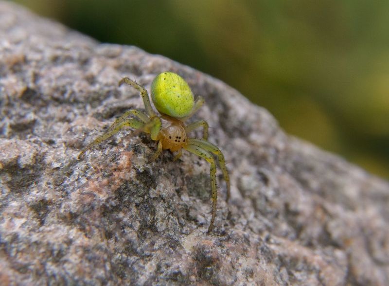 Яркая личностьphoto preview