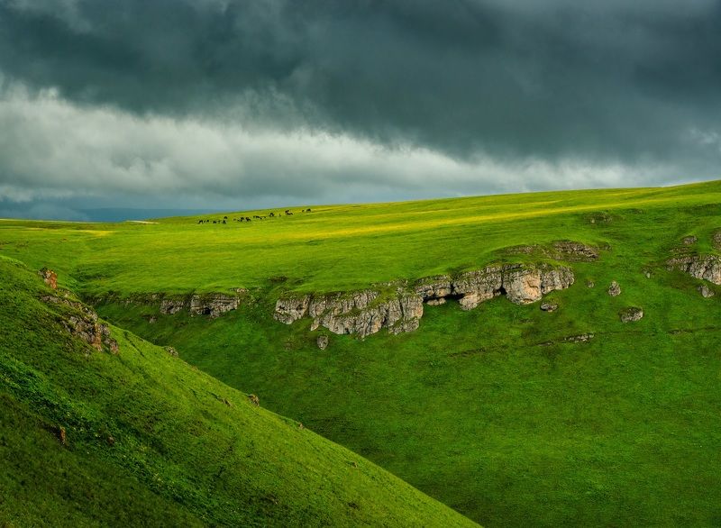кавказ, кабардино-балкария, приэльбрусье, плато, канжол Высокогорное пастбищеphoto preview