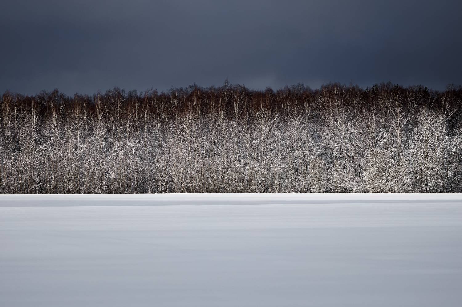 , Загруев Михаил