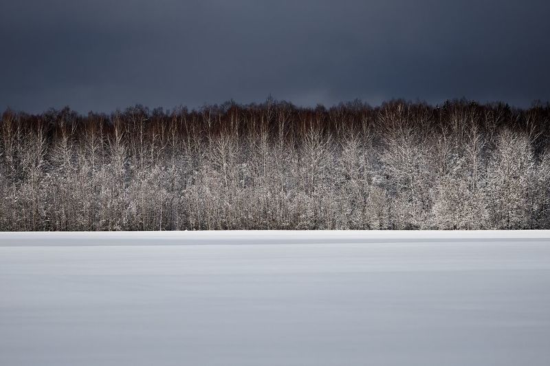 Линии фото превью