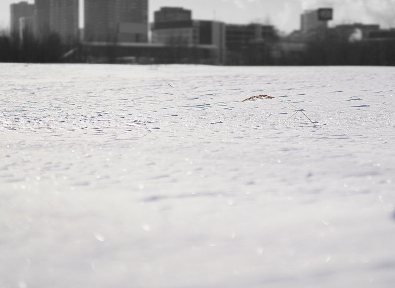 Одиночество в большом городеphoto preview