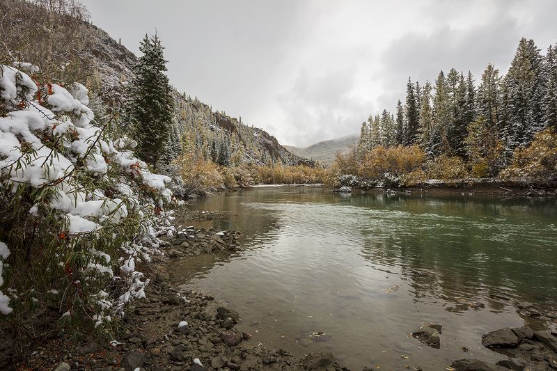 осень, пейзаж, горный алтай, река, чуя, снег, Осенняя Чуя.photo preview