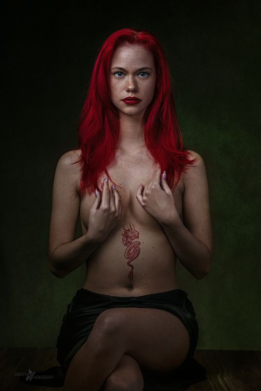 Red Dragonphoto preview