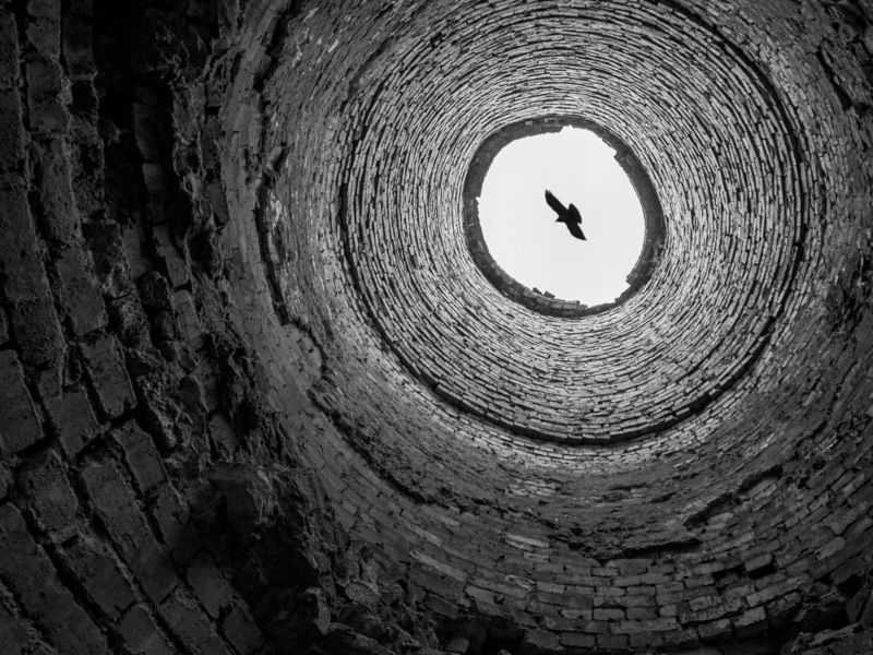 Птица, труба photo preview