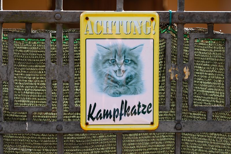 Зеленоградск, кот, табличка, юмор, позитив, предупреждение, фотография, забор, Россия, Свирин Вадим, Zelenogradsk, cat, sign, humor, positive, warning, photograph, fence, Russia, Vadim Svirin Внимание! Боевой кот.photo preview