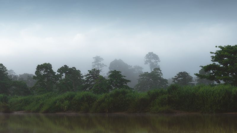 Туманное утро на реке Кинабатанганphoto preview