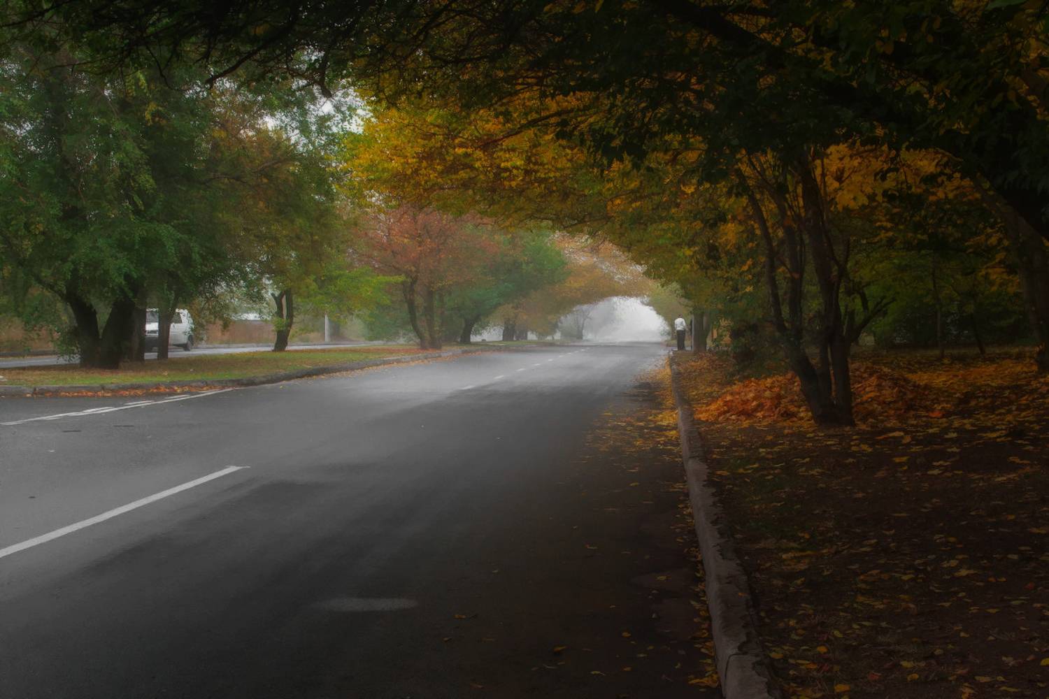Осенний тоннель.. Автор: Лысенко Сергей , Лысенко Сергей
