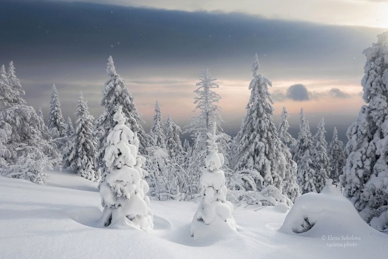 уреньга, хребет, горы, зима, челябинская область, снег, лес Уреньгаphoto preview