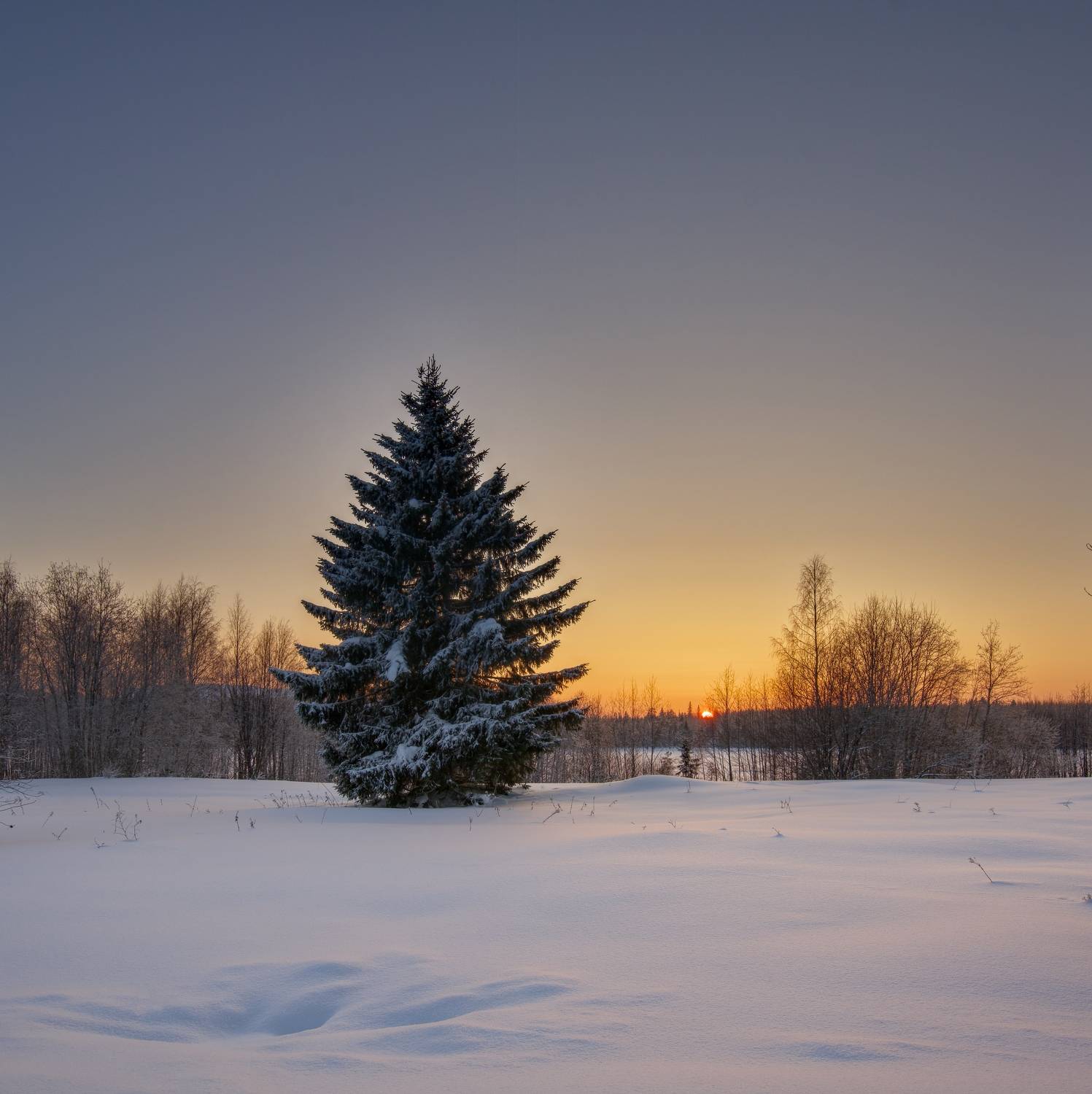 , Шишпанов Игорь