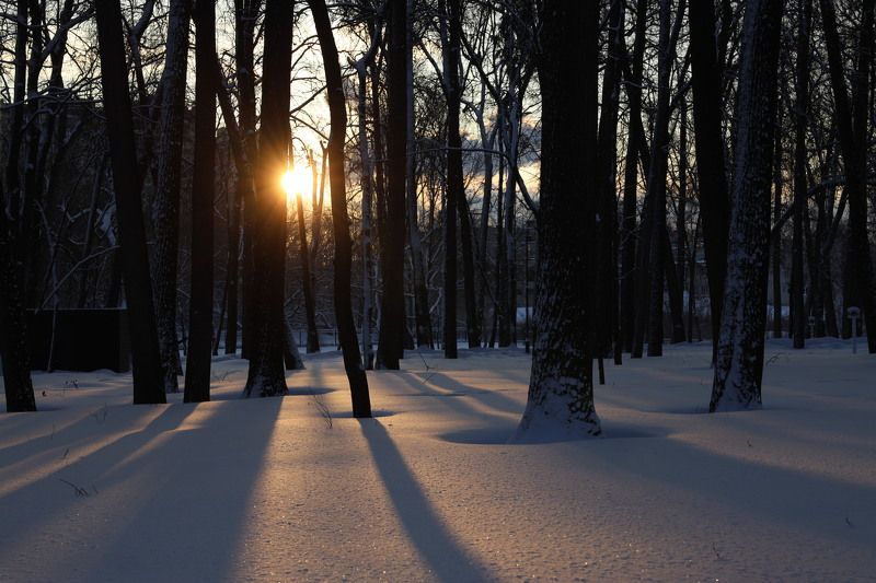 Солнце встаетphoto preview