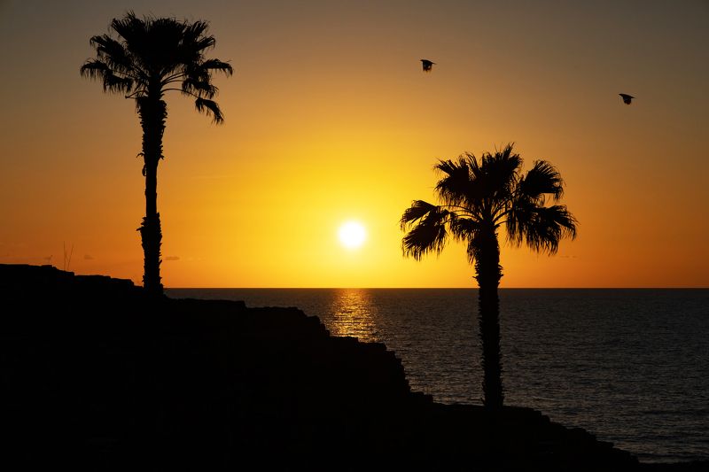 На закате знойного дняphoto preview