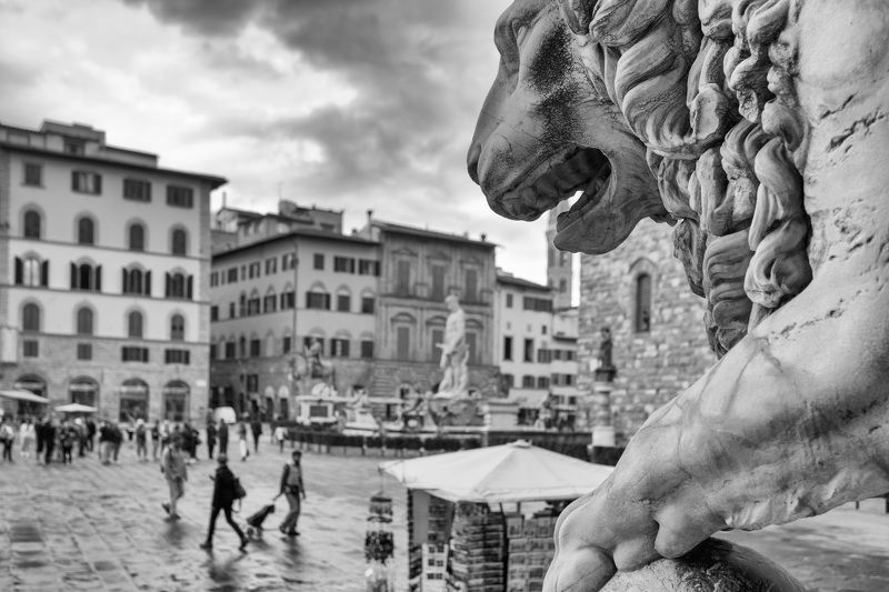 город лев камень чб Созерцатель фото превью