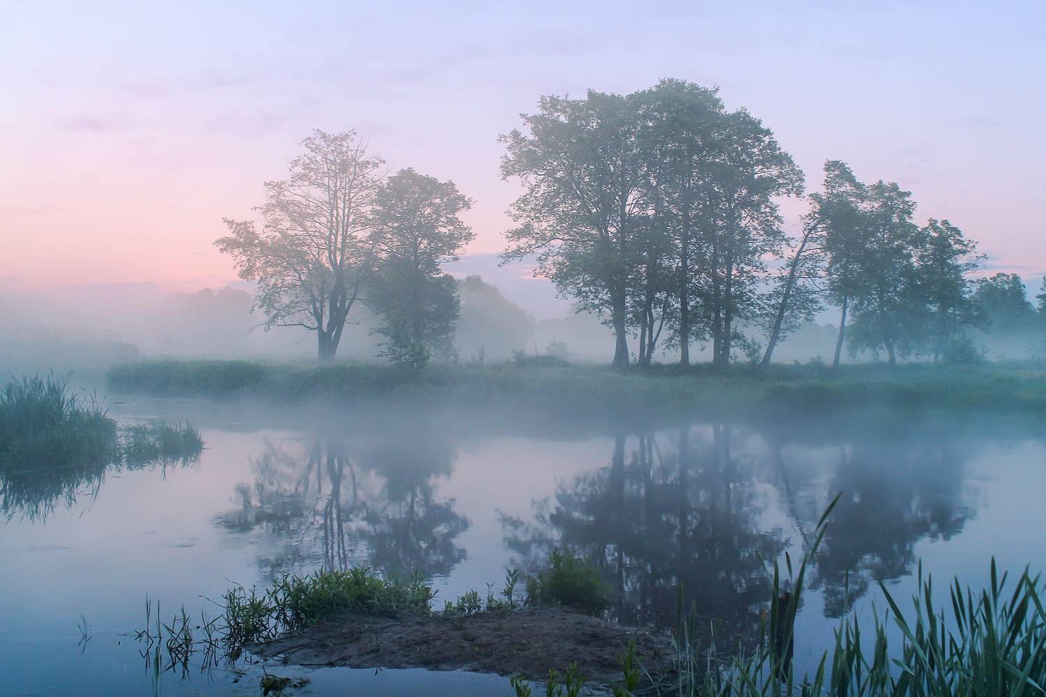 ********. Автор: Игорь Денисов , Игорь Денисов