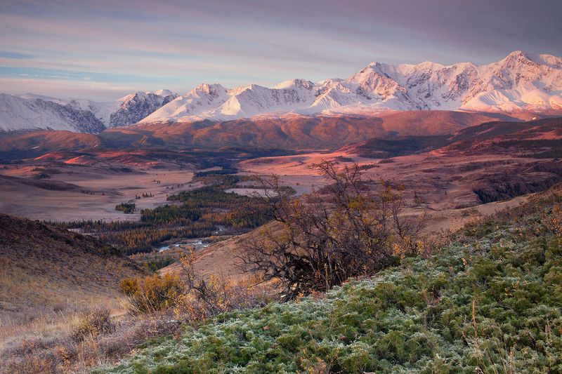 алтай, республика алтай, горы, северо-чуйский, хребет Три цвета утраphoto preview