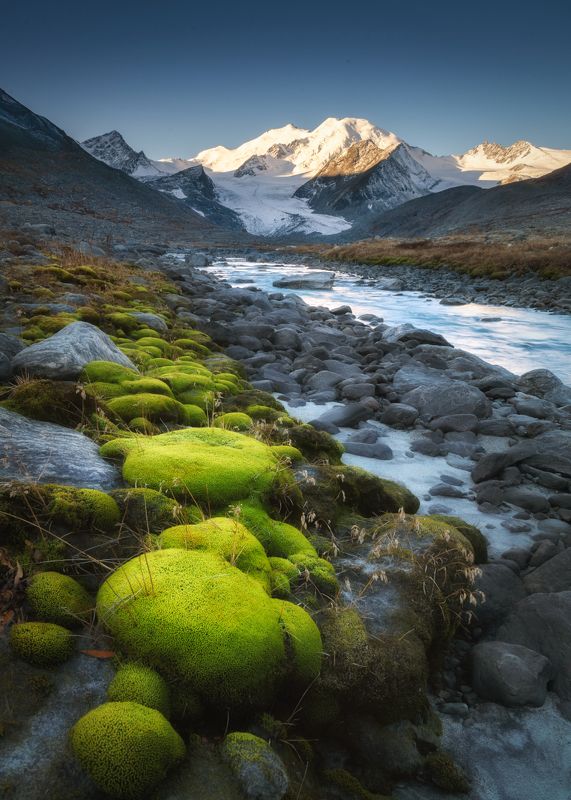 алтай, горный алтай, пейзажи алтая, кош-агачский район, горная река, горное ущелье, горы, осенний алтай, мох, морена, ледник Про мох и камниphoto preview