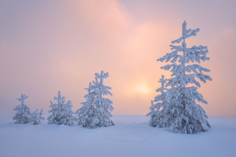 Держать строй!photo preview