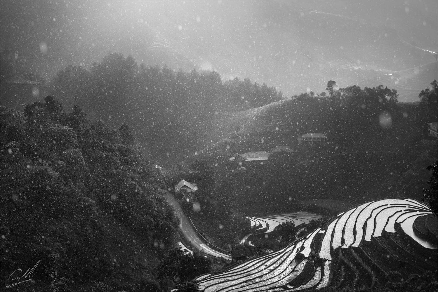 , Михалюк Сергей *