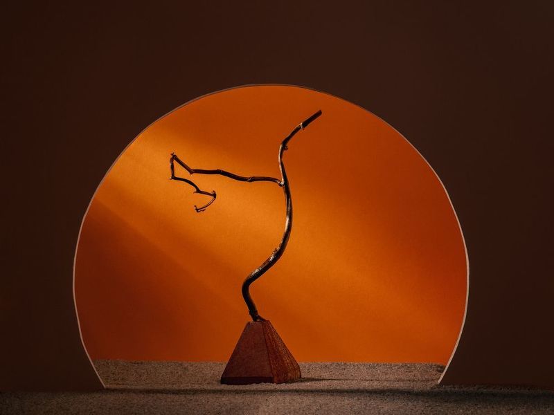 древоphoto preview