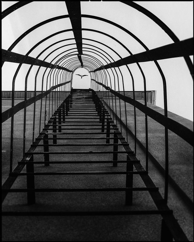 чб, чернобелое, bw, black and white ,,,photo preview