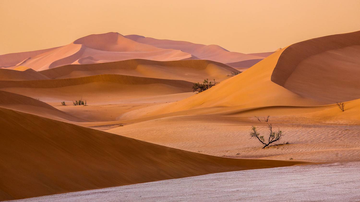 Жара. Автор: Yuri Ovchinnikov , Yuri Ovchinnikov