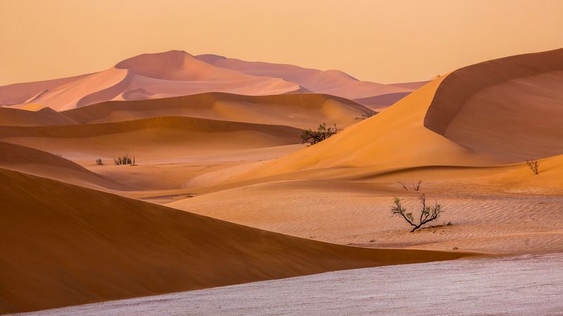 Жара фото превью