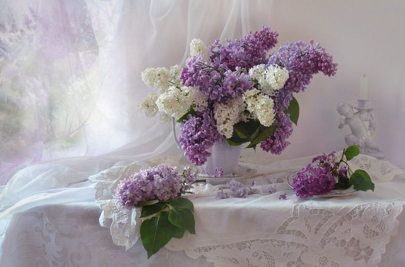 still life, натюрморт, цветы, фото натюрморт, весна, май, сирень, фарфор, настроение, Букет сирени на столе...photo preview