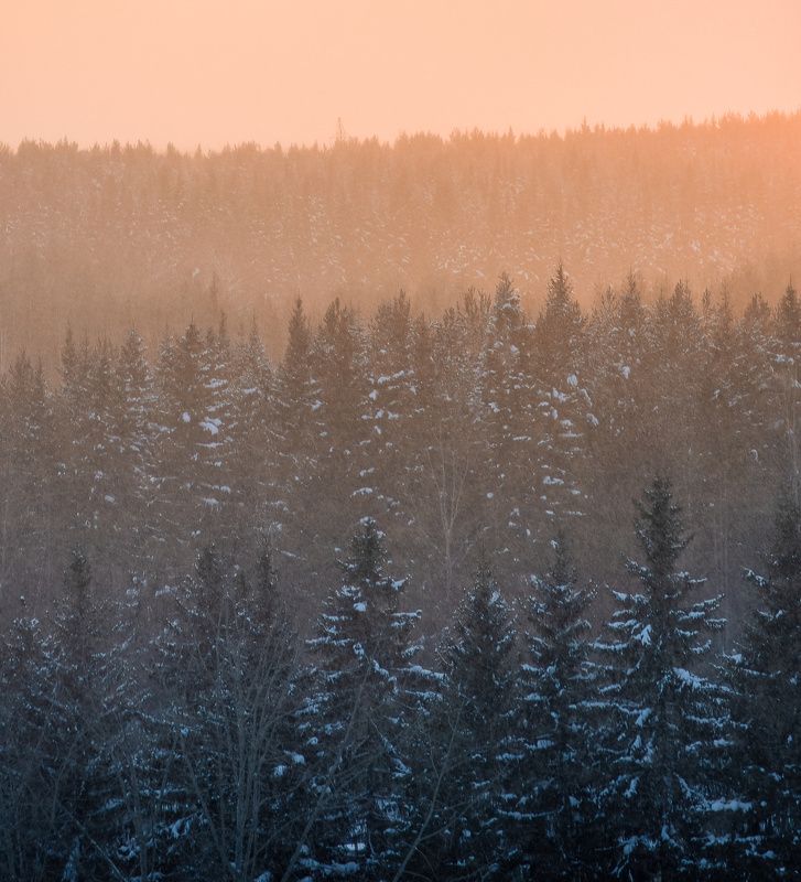 пейзаж, природа, зима, снег, лес, закат, республика коми photo preview