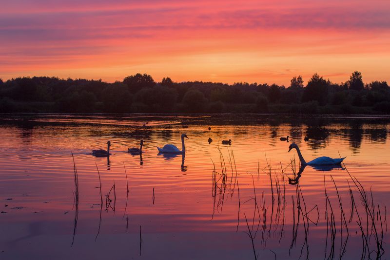 ********photo preview