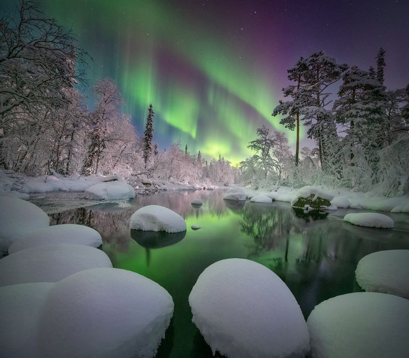 Зимний лес.photo preview