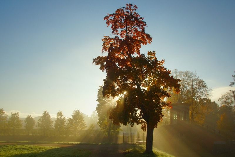 Sunny morningphoto preview