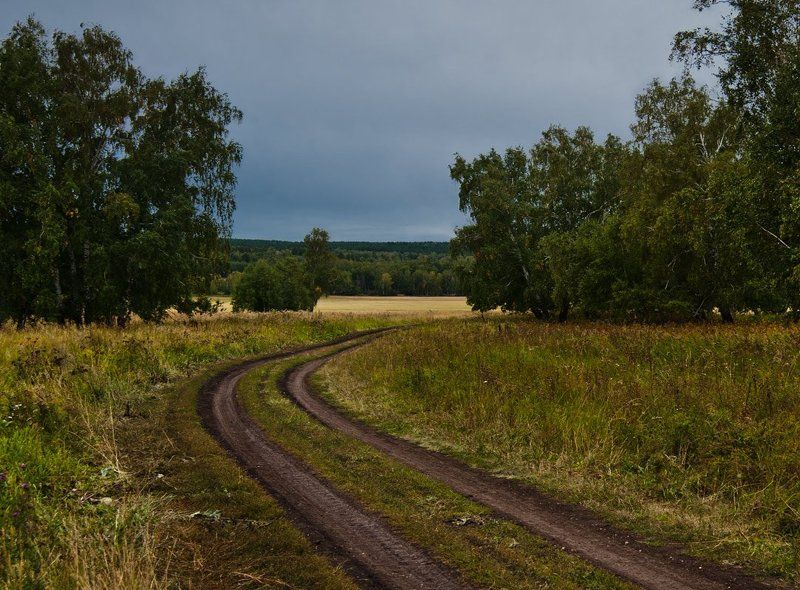 Дорога, Лес, Поле В ожидании дождя фото превью