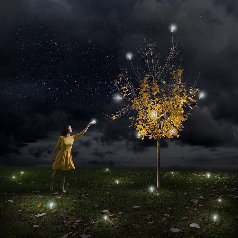 Conceptual, Mood, Story The Light Of All Thingsphoto preview