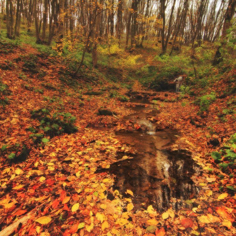 *** фото превью