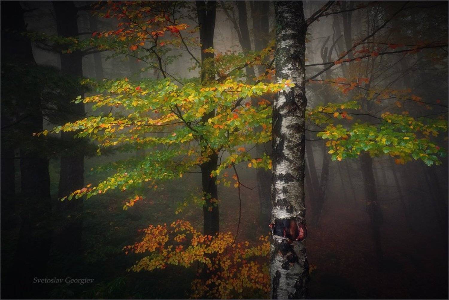 Автор: Svetoslav Georgiev , Svetoslav Georgiev