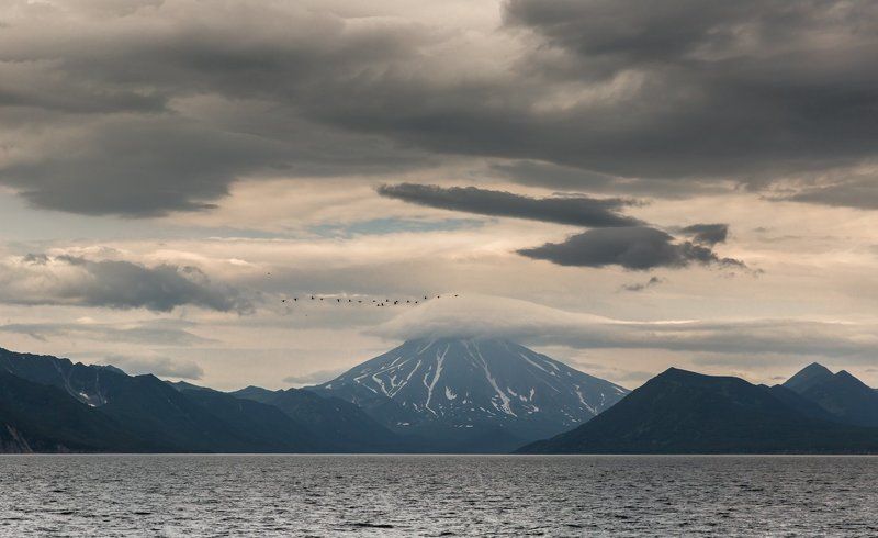 бакланы, вилючинский вулкан, камчатка, небо, стая птиц, тихий океан, тучи Над Вилючинскимphoto preview