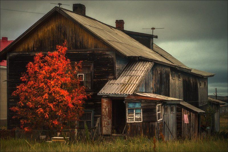 Контрасты осениphoto preview