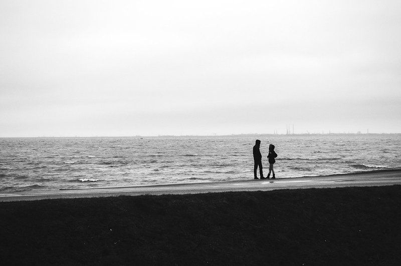 Листья, Петергоф, Птицы, Фото, Фотография, Ч/б, Чб, Человек, Черно-белое фото Моментыphoto preview