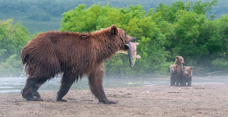 Вот вам и рыбка !photo preview