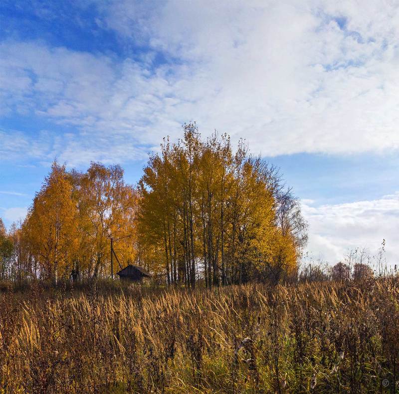 В октябре на верхней Волгеphoto preview