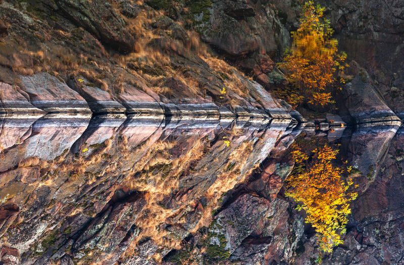 утро, река, осень, пейзаж Зеркало осениphoto preview