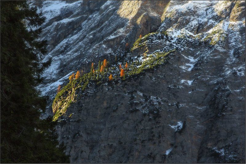 Жизни островокphoto preview