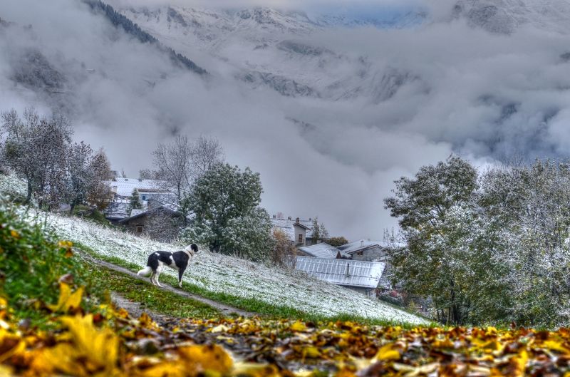 MAROT, France