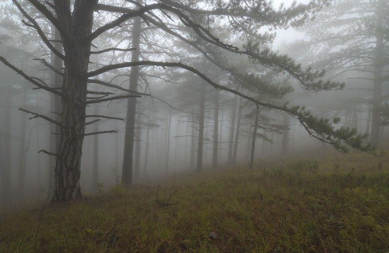 Преображение...photo preview