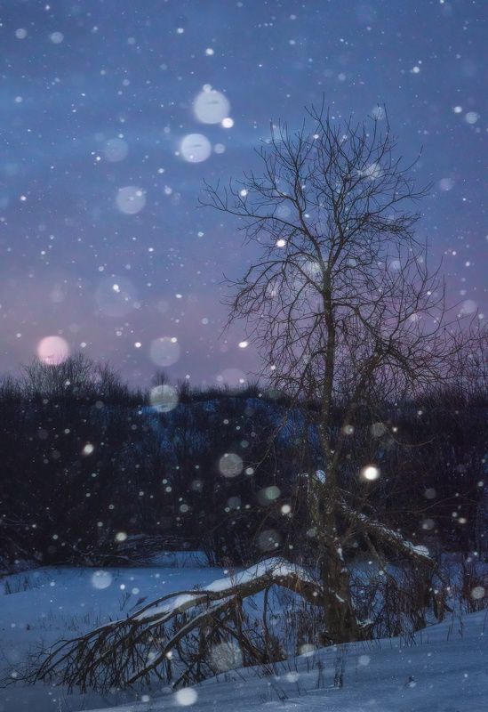 пейзаж, природа, зима, снег, республика коми, снегопад, сумерки В сумерках...photo preview