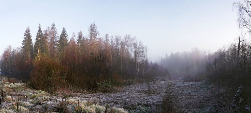 туман ....photo preview