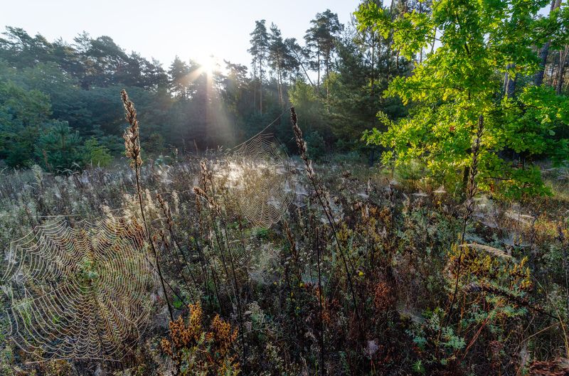 Бабье лето фото превью