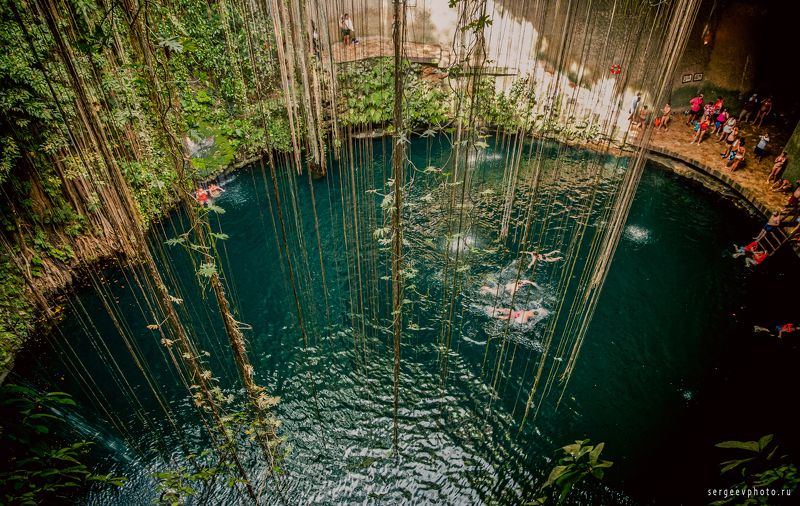 озеро, мексика, пещера, вода, лианы, природа, чичен-ица, lake, mexico, cave, water, vines, nature, chichen itza Подземный водный мир | Underground water world фото превью